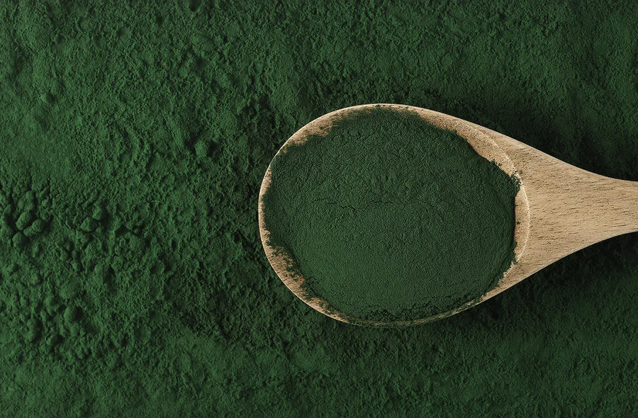 Densidyl — Chlorella Emersonii & Spirulina Maxima