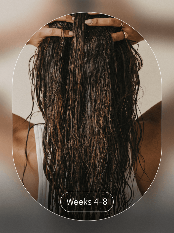Weeks 4–8: less shedding